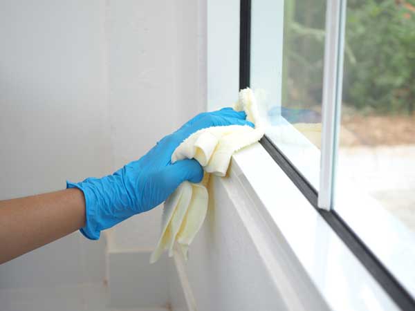 window cleaning services